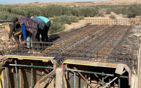 WhatsApp Image 2025-03-06 à 23.23.25_c9ee26bc