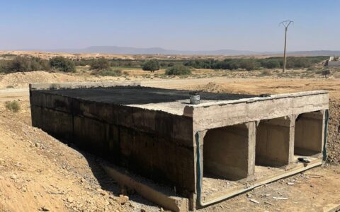 WhatsApp Image 2025-03-06 à 23.23.26_63855049